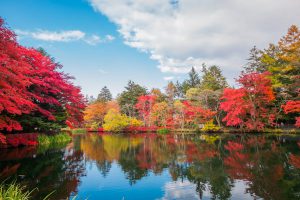 7-Day Pass – Autumn Country Itinerary