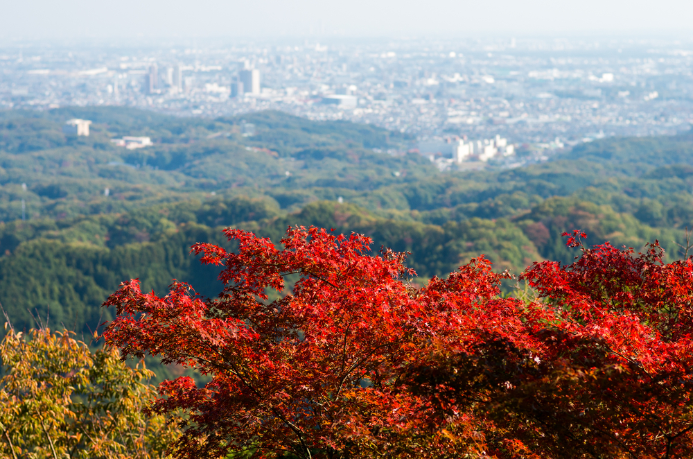 Takao mountain,tokyo,japan autumn