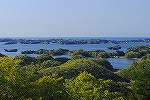 TOMIYAMA