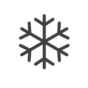 Winter Icon